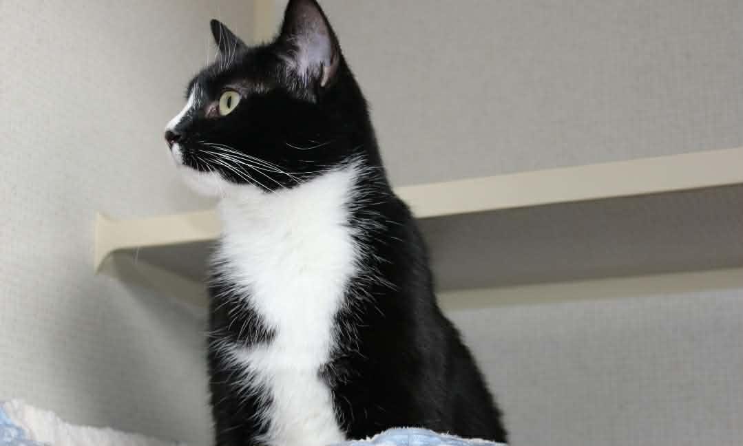 Hilly — thumbnail 2