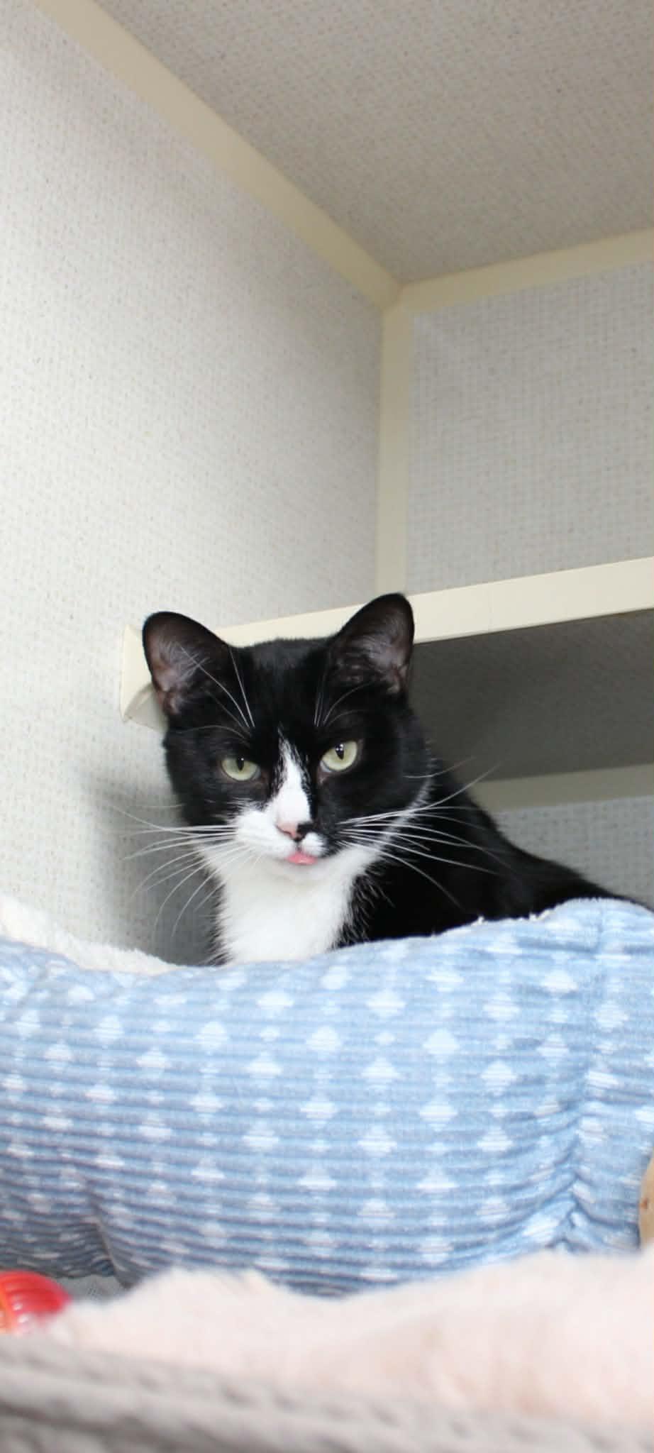 Hilly — thumbnail 3