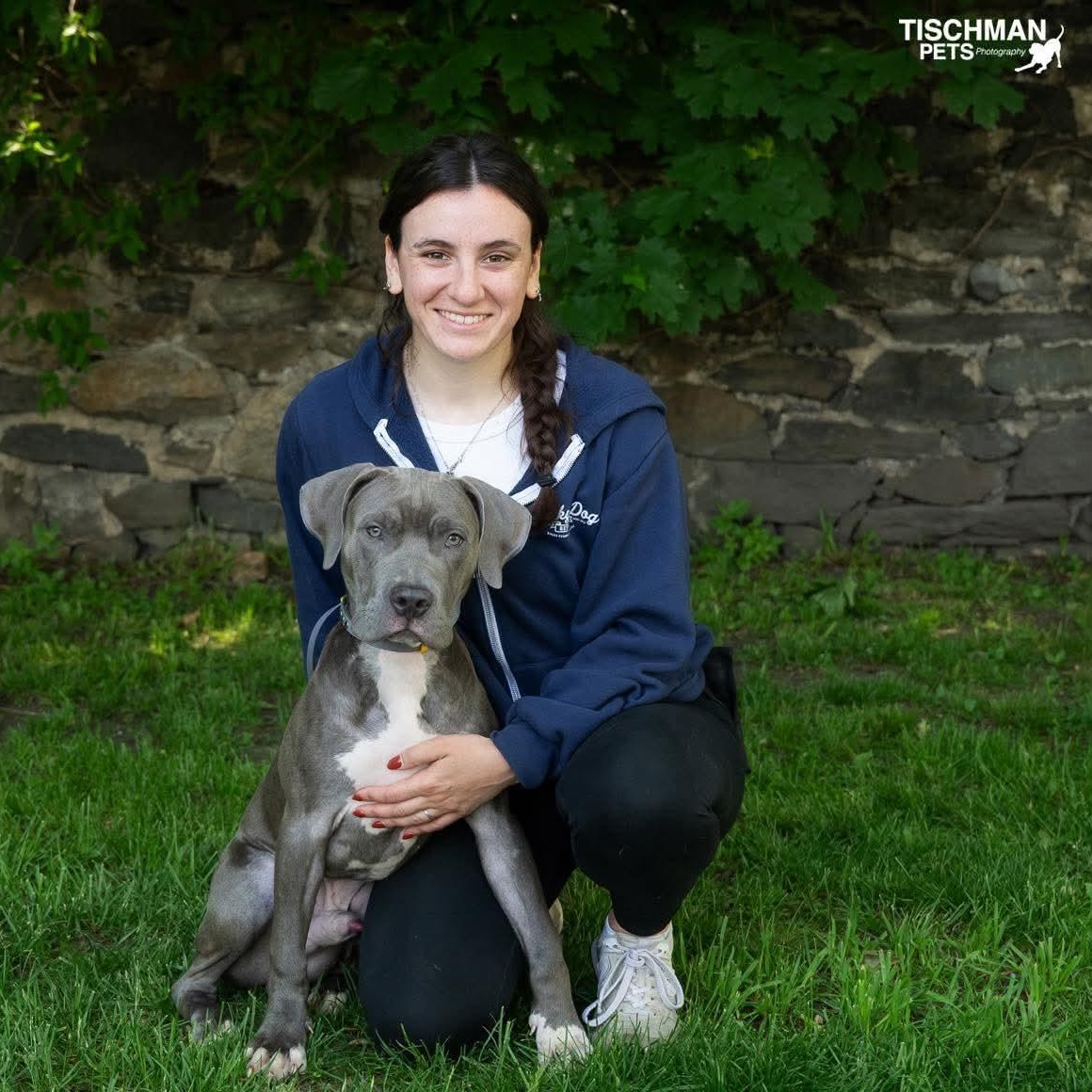 Kingston, a ADOPTABLE mixed breed in Stamford, CT image 6/6