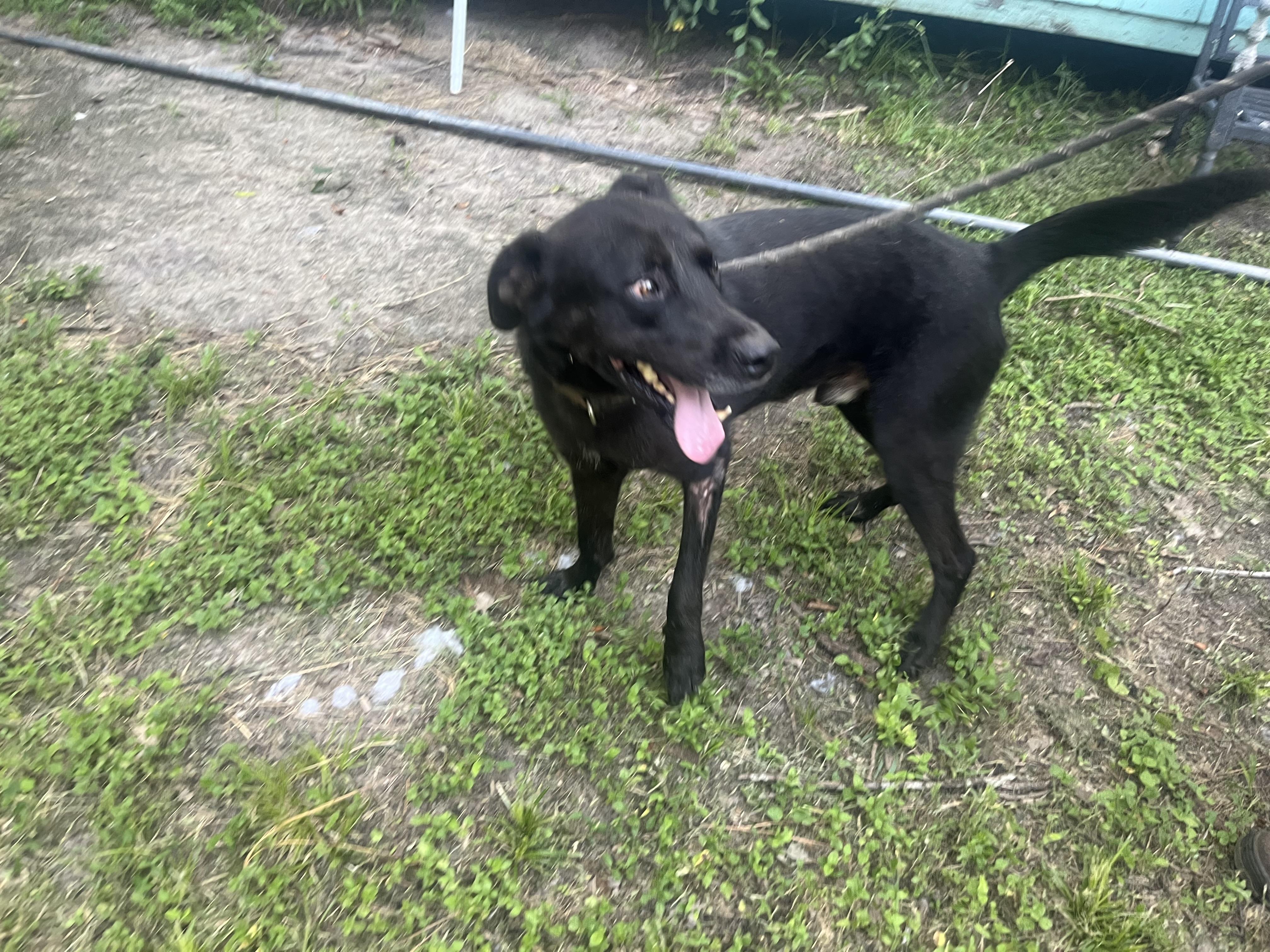 KING — thumbnail 3