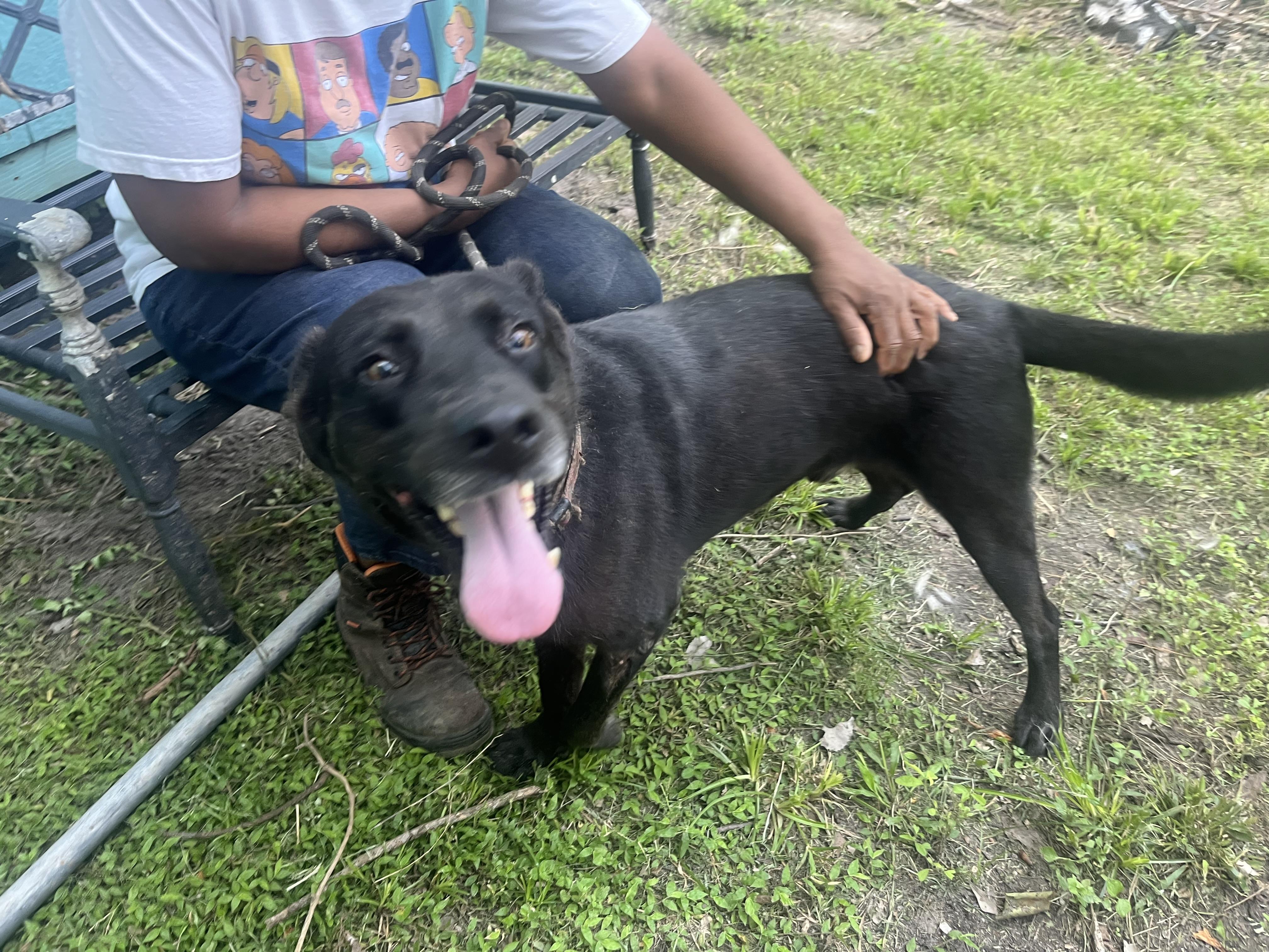 KING — thumbnail 4