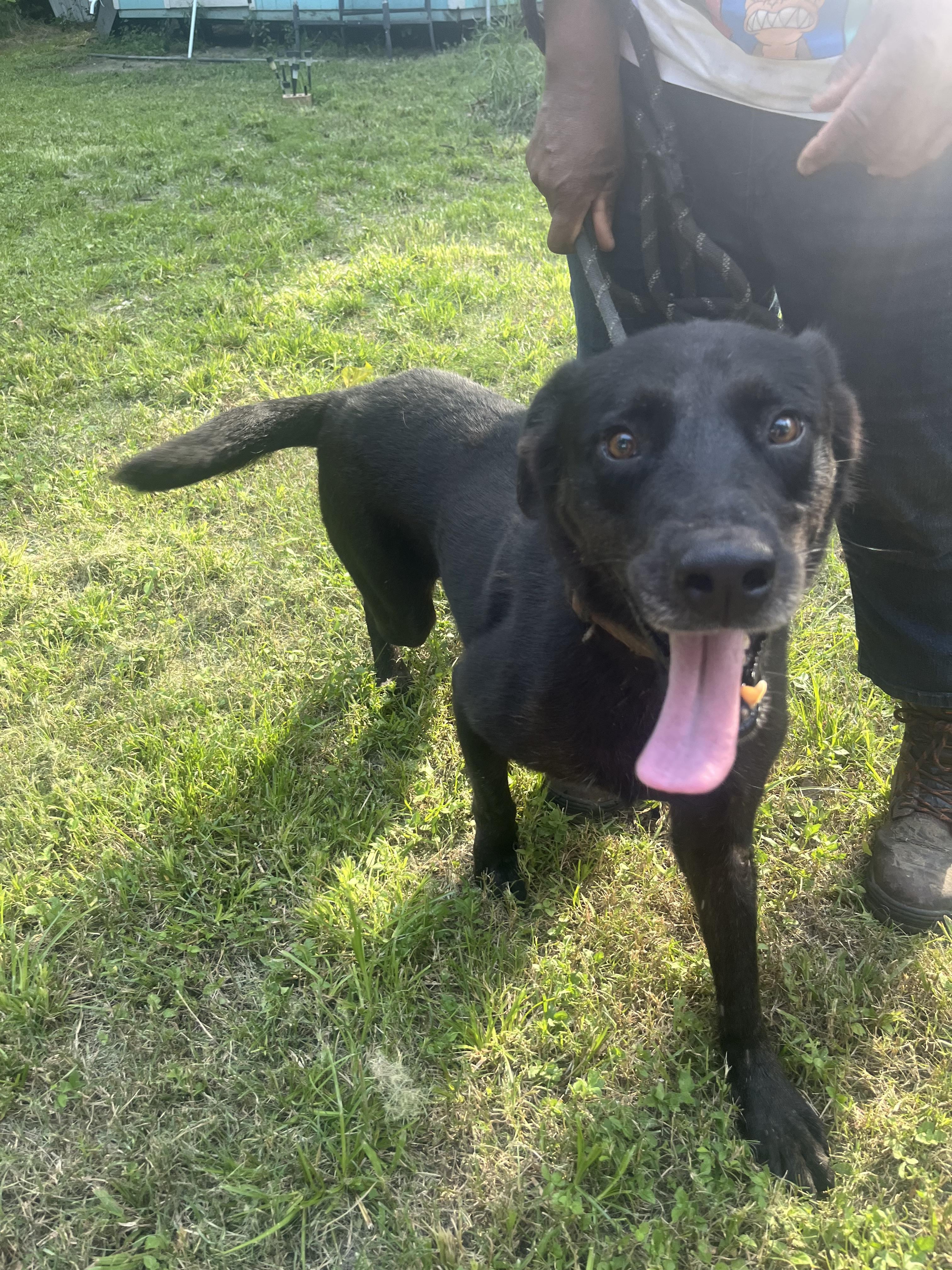 KING — thumbnail 5