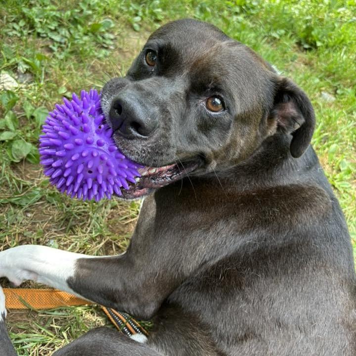 Keno