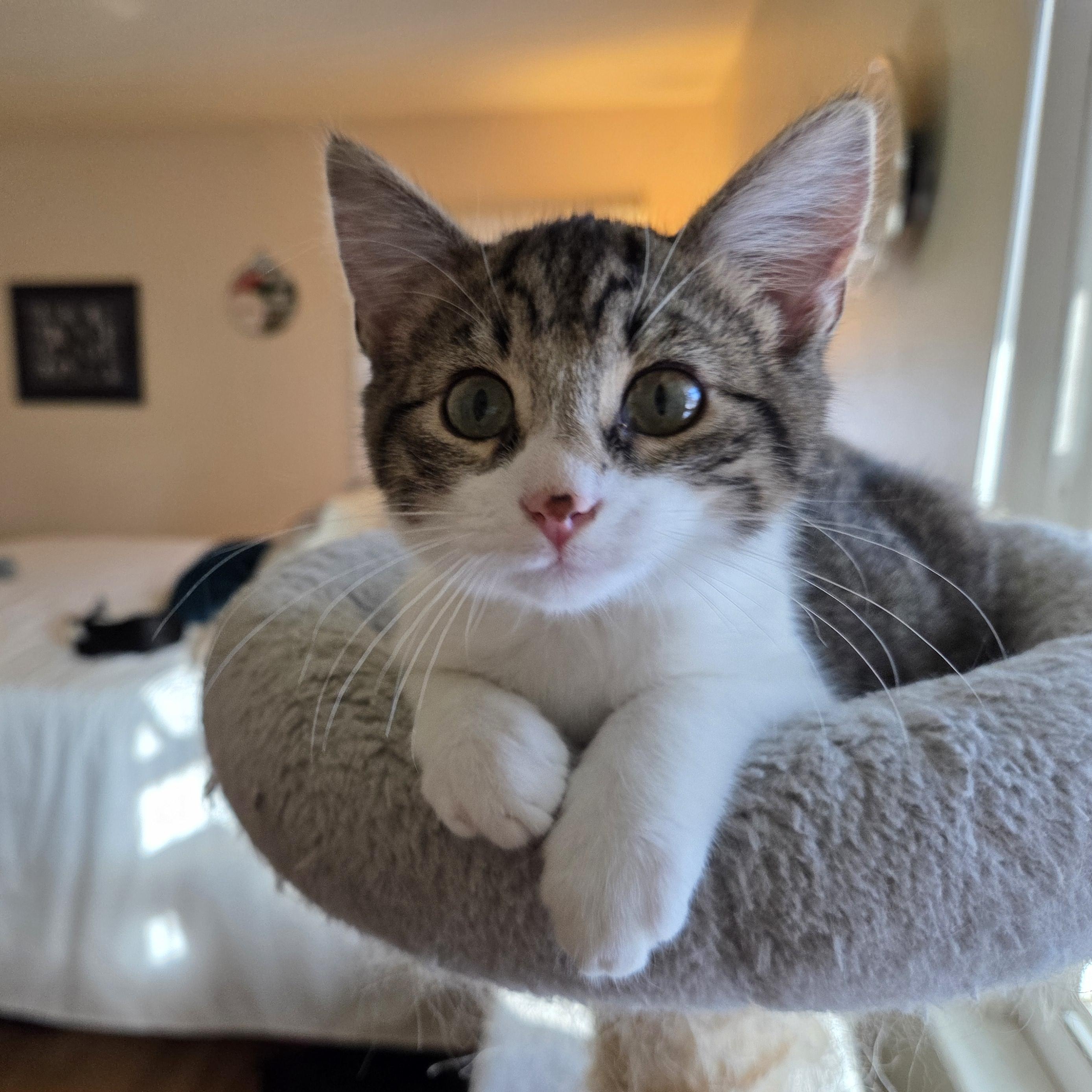 Hermey — thumbnail 5