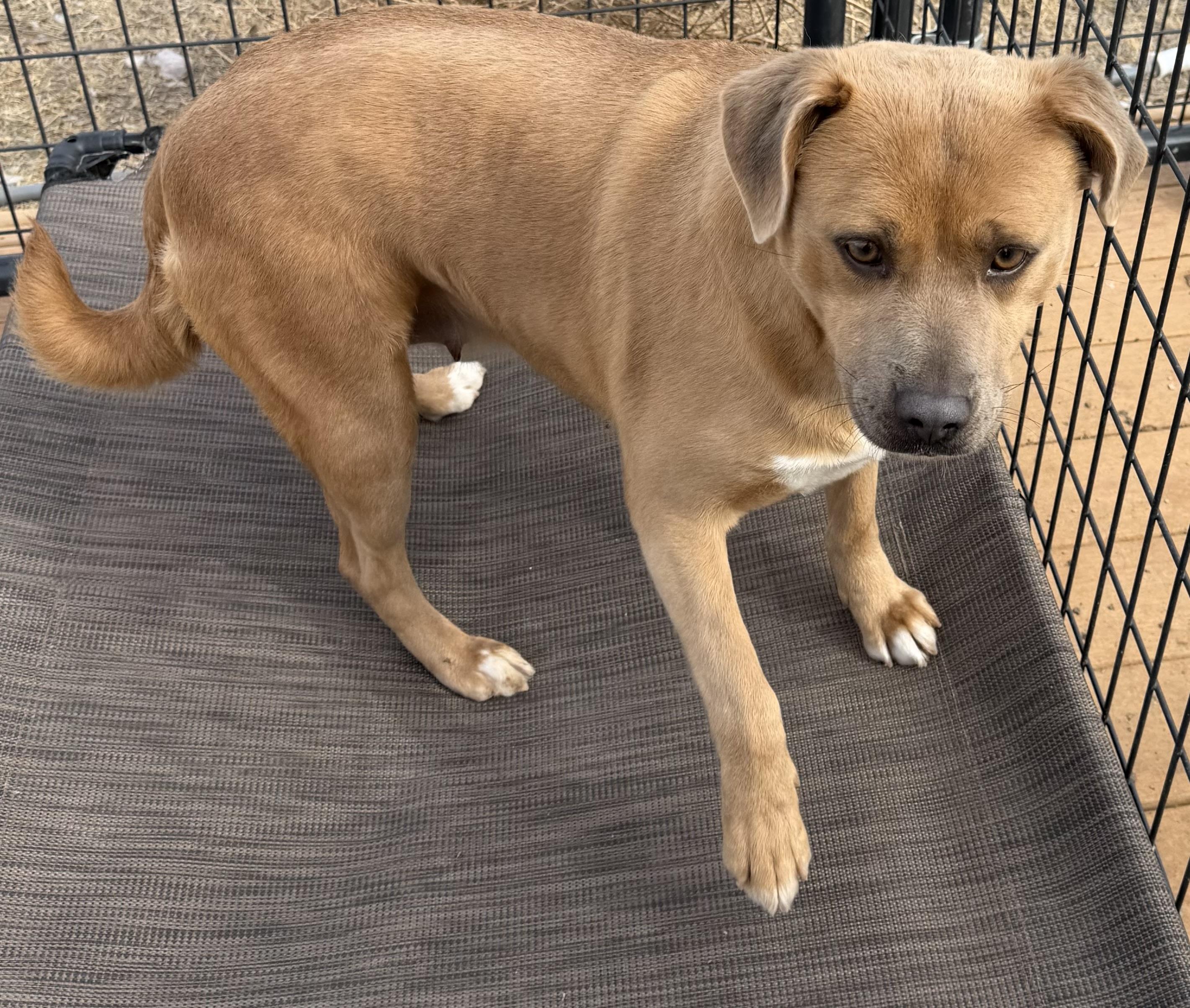 Honey — thumbnail 2