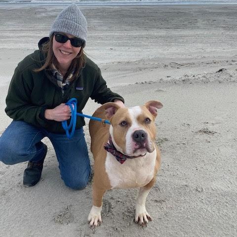 Barbie, a Adoptable Mixed Breed image 4/6