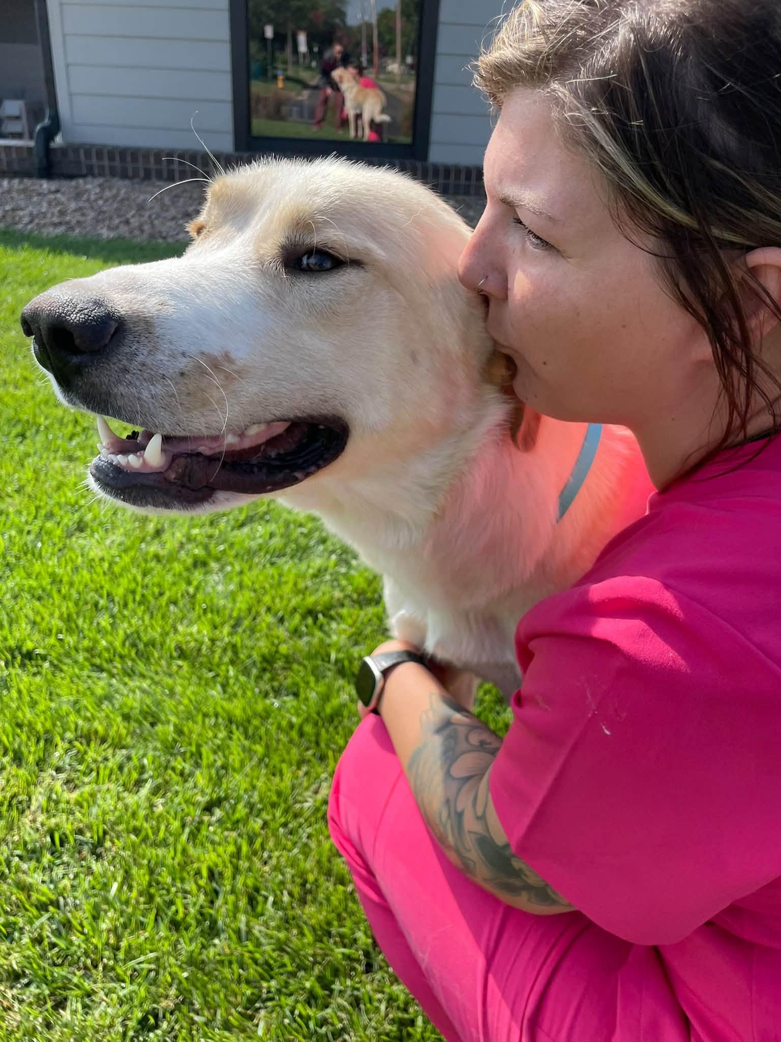 Enlarge Meatloaf, a Adoptable mixed breed in Abilene, KS image 5/6