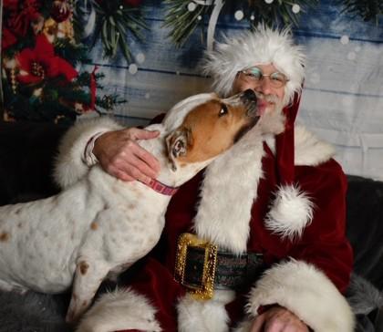 Enlarge Iris, a Adoptable mixed breed in Burlington, WI image 1/3