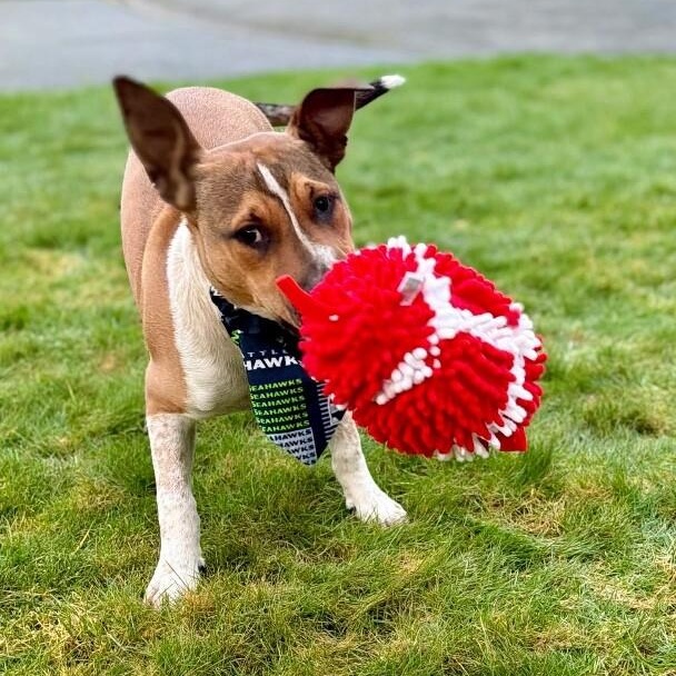 Bam Bam Your Draft Pick — thumbnail 2