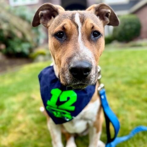 Bam Bam Your Draft Pick — thumbnail 3