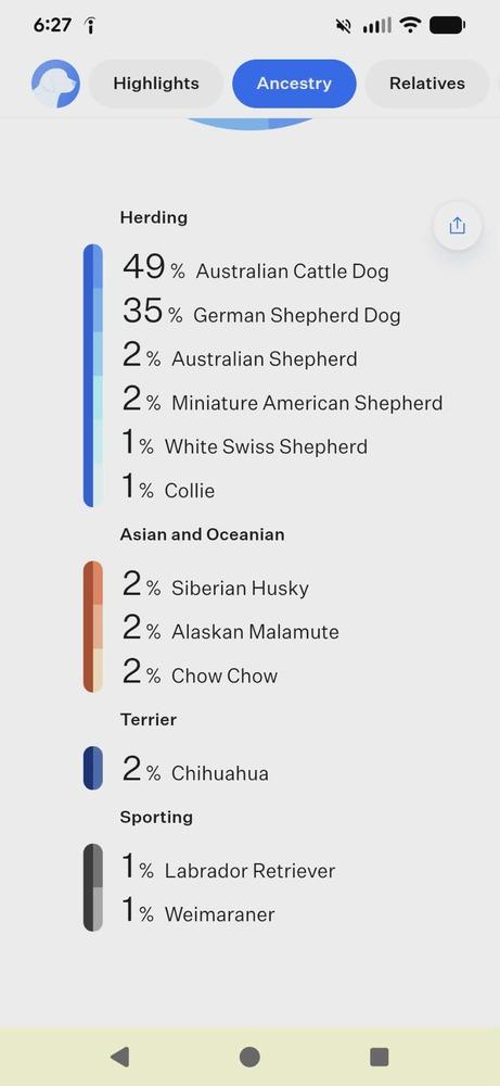Enlarge Alex II, a Adoptable mixed breed in Fredonia, WI image 1/5