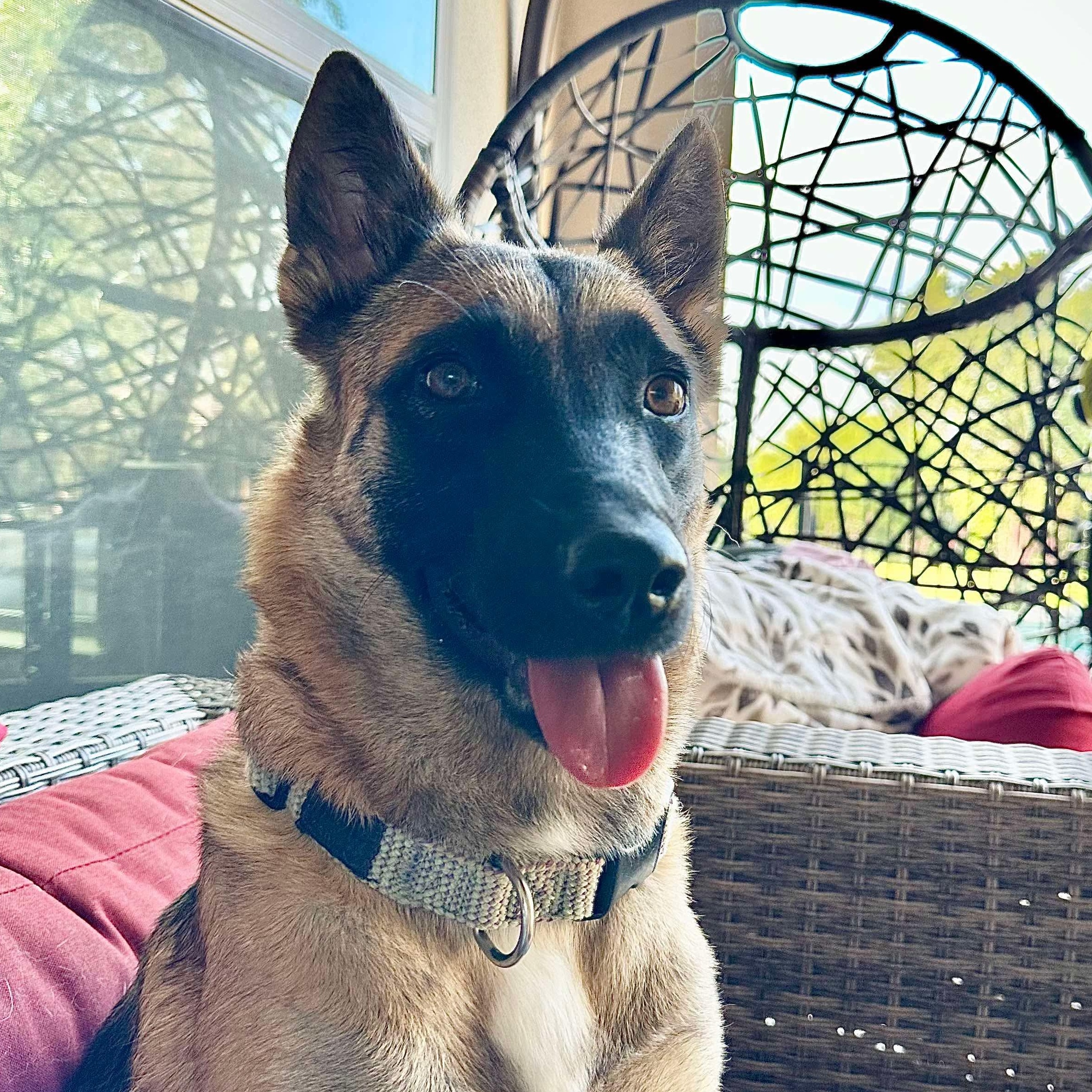 Sophie, Young Female unknown