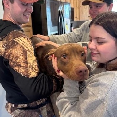 Mr. Brown, a Adoptable mixed breed in Hackensack, MN image 4/6