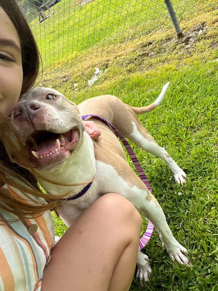 Emma, a Adoptable mixed breed in Scott, LA image 2/6