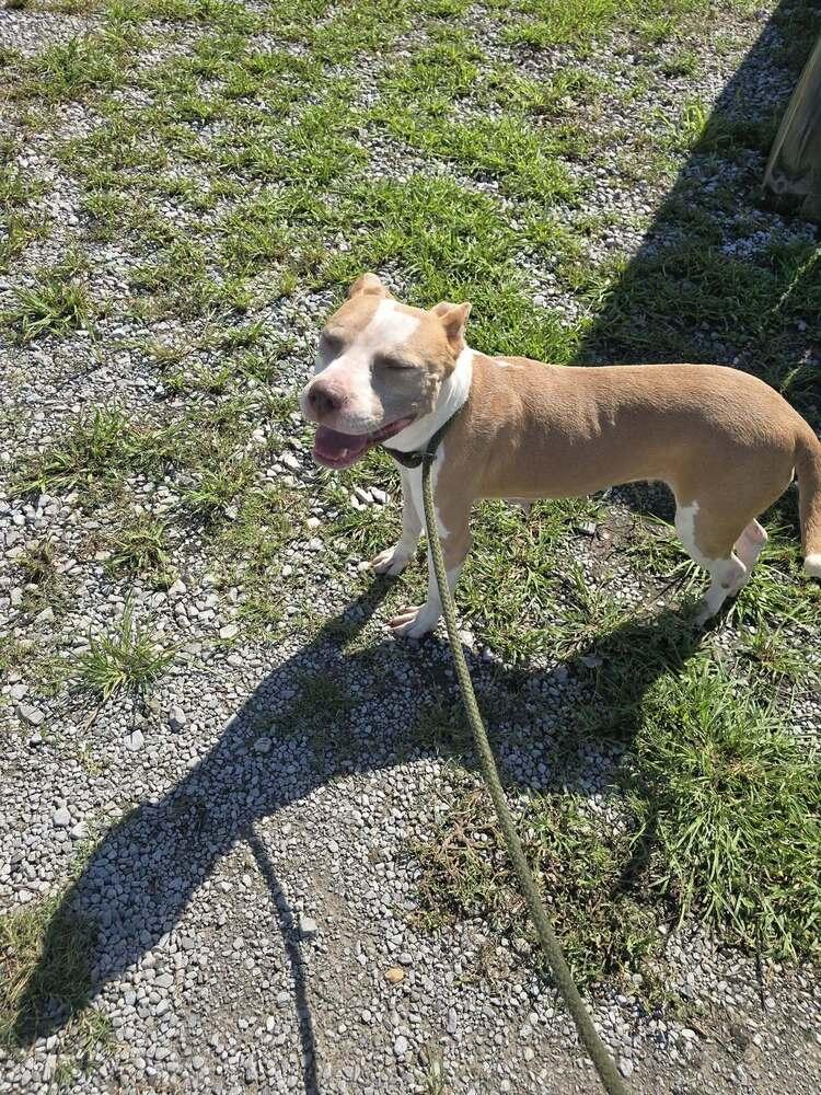 Emma — thumbnail 2