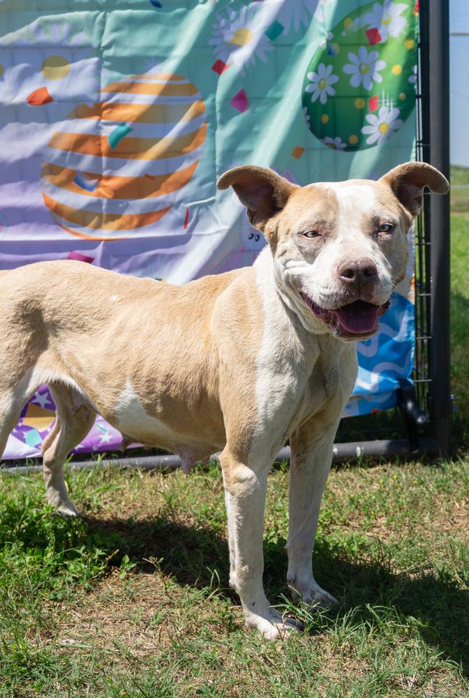 Emma — thumbnail 4