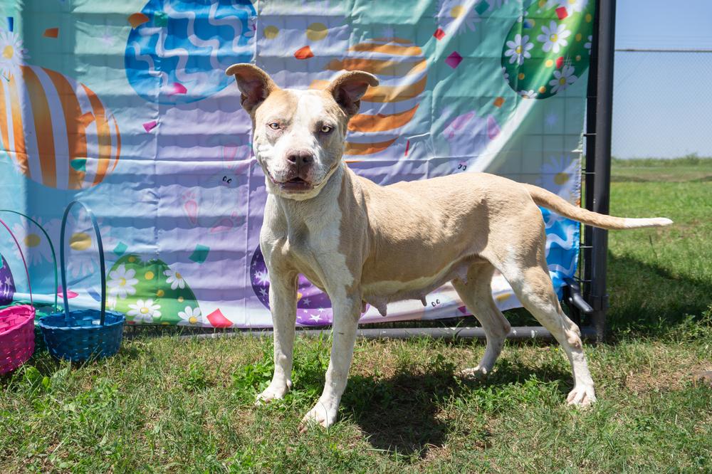 Emma — thumbnail 5