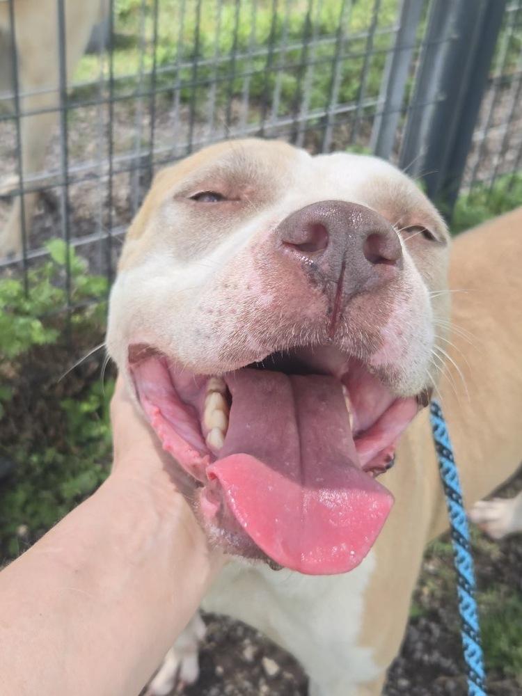 Emma — thumbnail 6