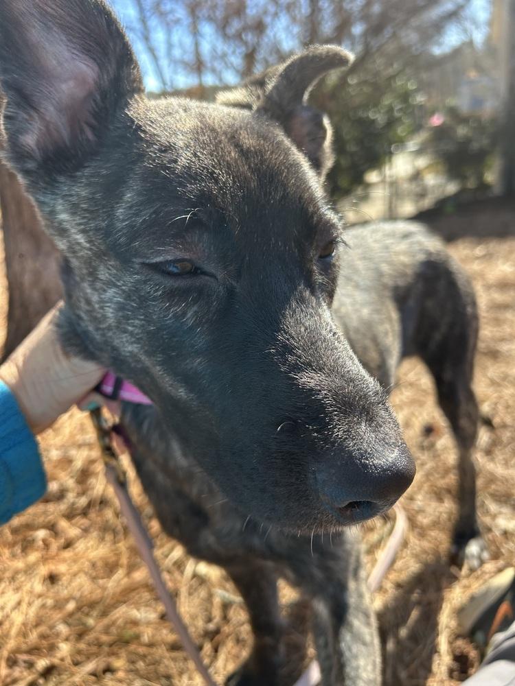 Giselle  Located In thumbnail 2