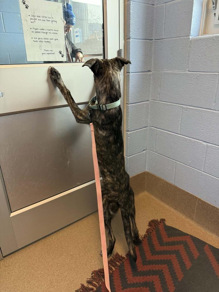 Giselle  Located In thumbnail 3