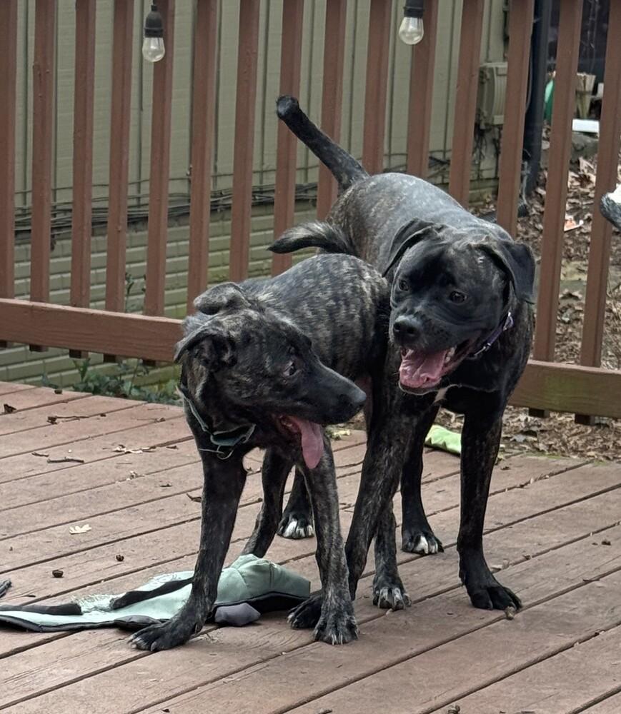 Giselle  Located In thumbnail 4