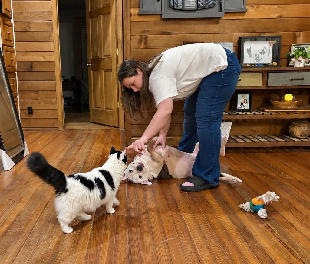 Enlarge Pascal, a Adoptable mixed breed in Princeton, MA image 5/6