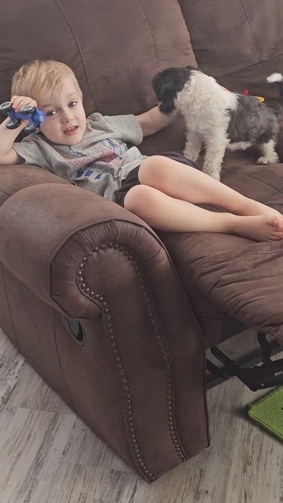 Enlarge May, a Adopted Shih Tzu in Buckeye, AZ video 5/6