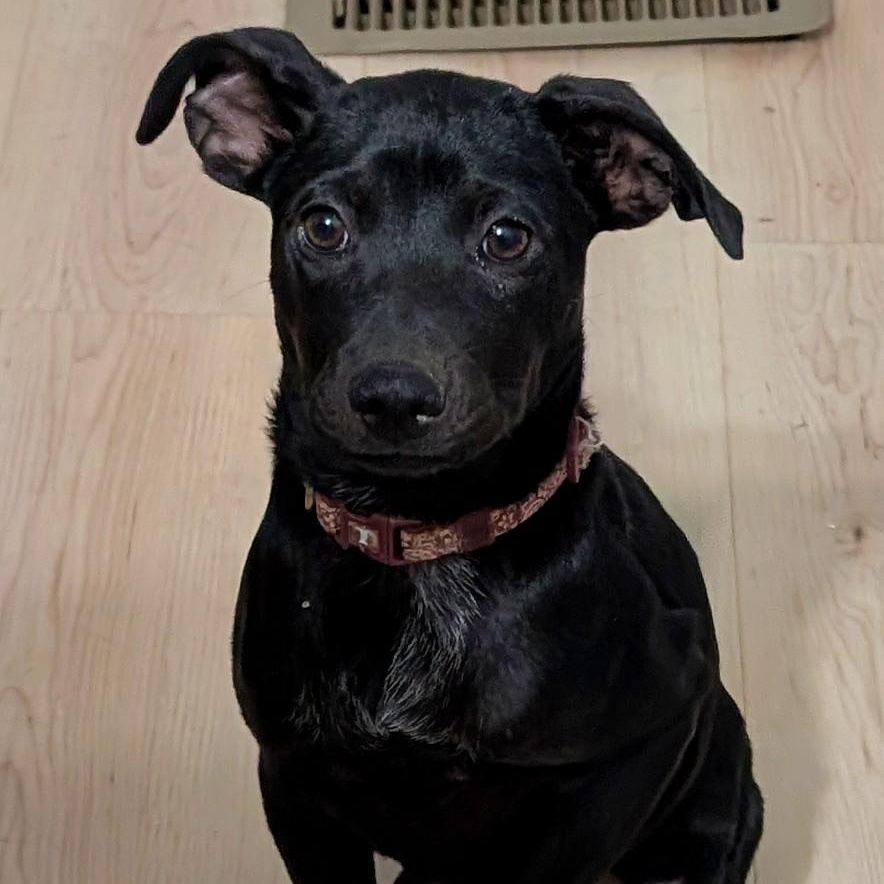 Mindy (Mimi)
