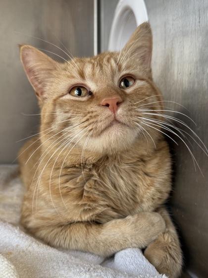 Baby — thumbnail 2