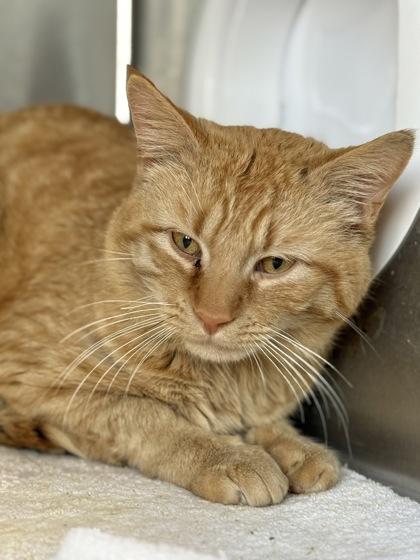 Baby — thumbnail 3