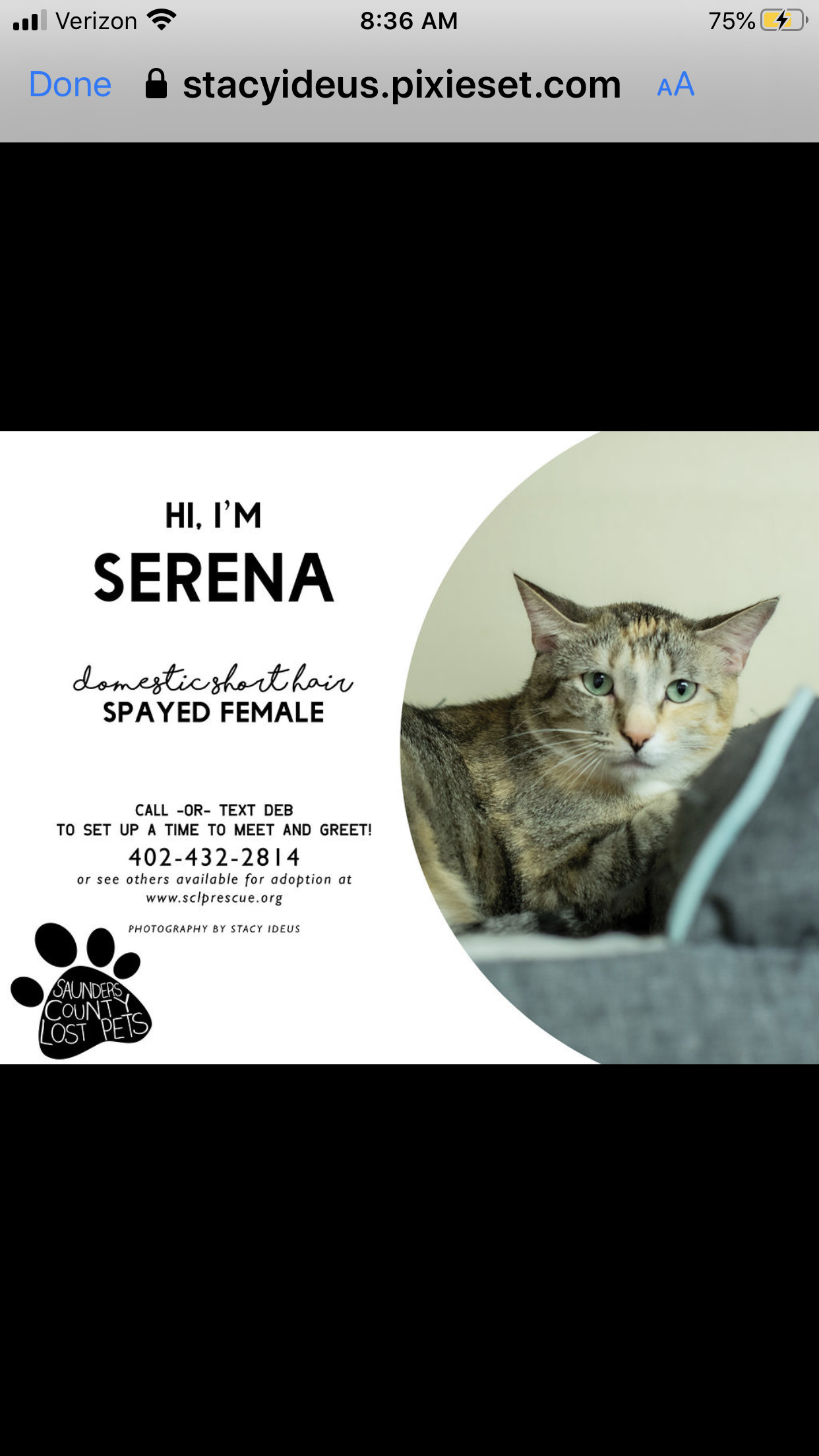 Serena, a Adoptable mixed breed in Wahoo, NE image 1/2