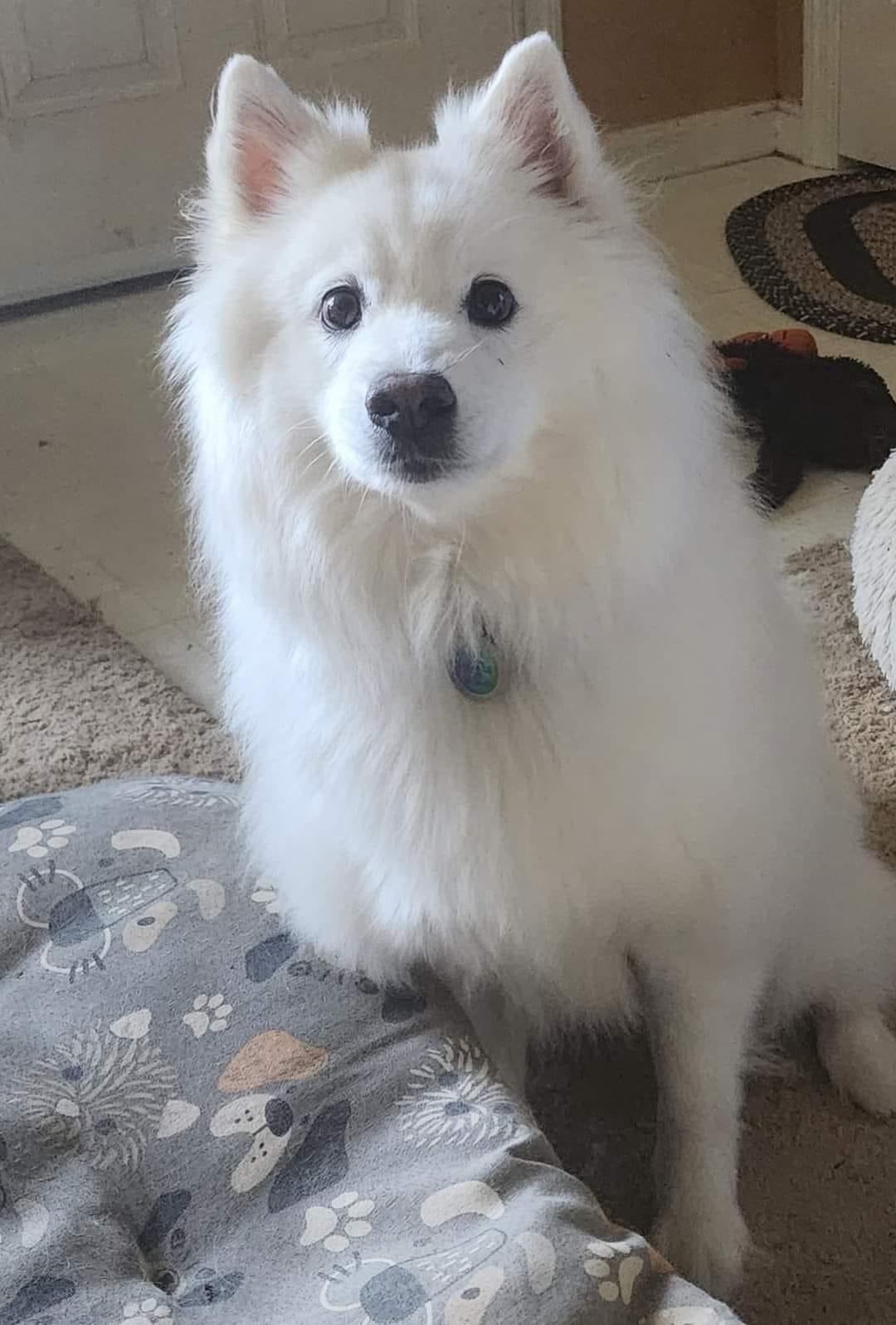 LEO