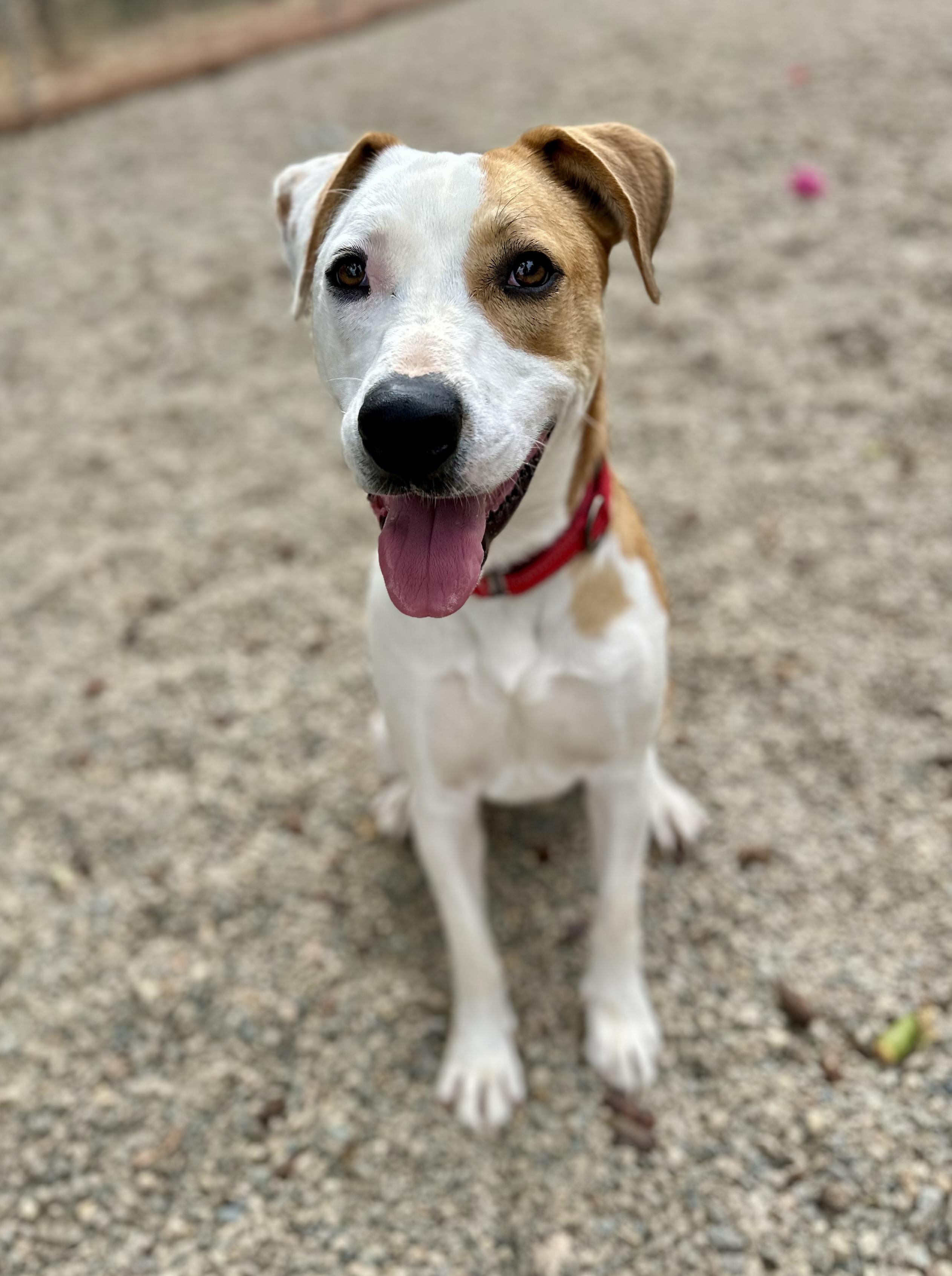 Bentley 0224 — thumbnail 4