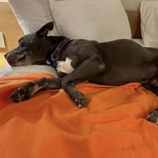 Superman — thumbnail 2