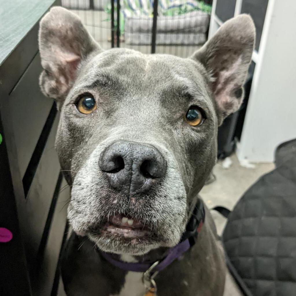 Superman — thumbnail 3