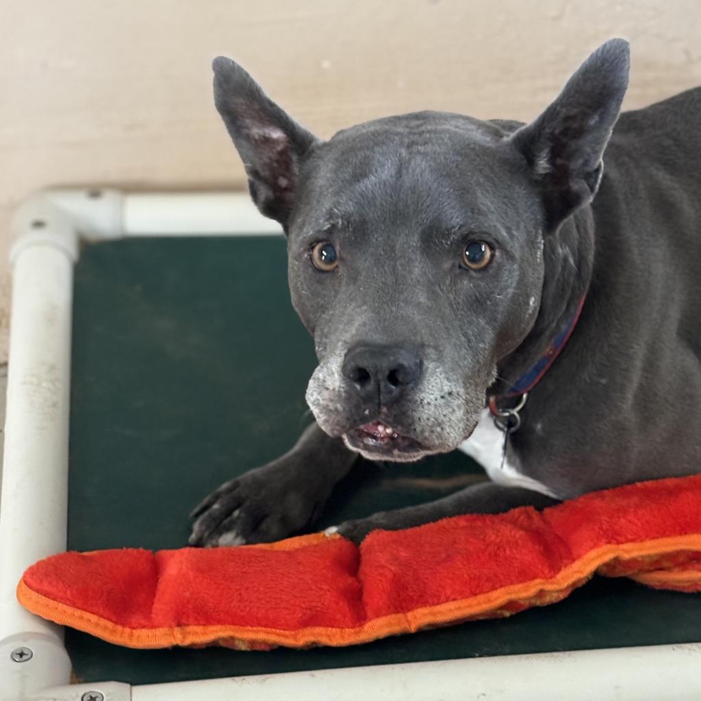 Superman — thumbnail 6