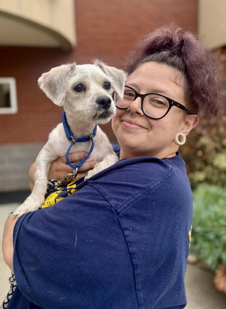 Enlarge Meeko, a Adoptable mixed breed in Sayreville, NJ image 2/3