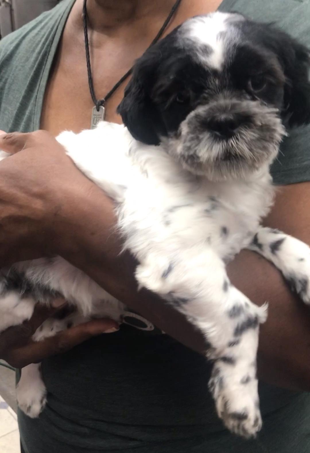Stanley