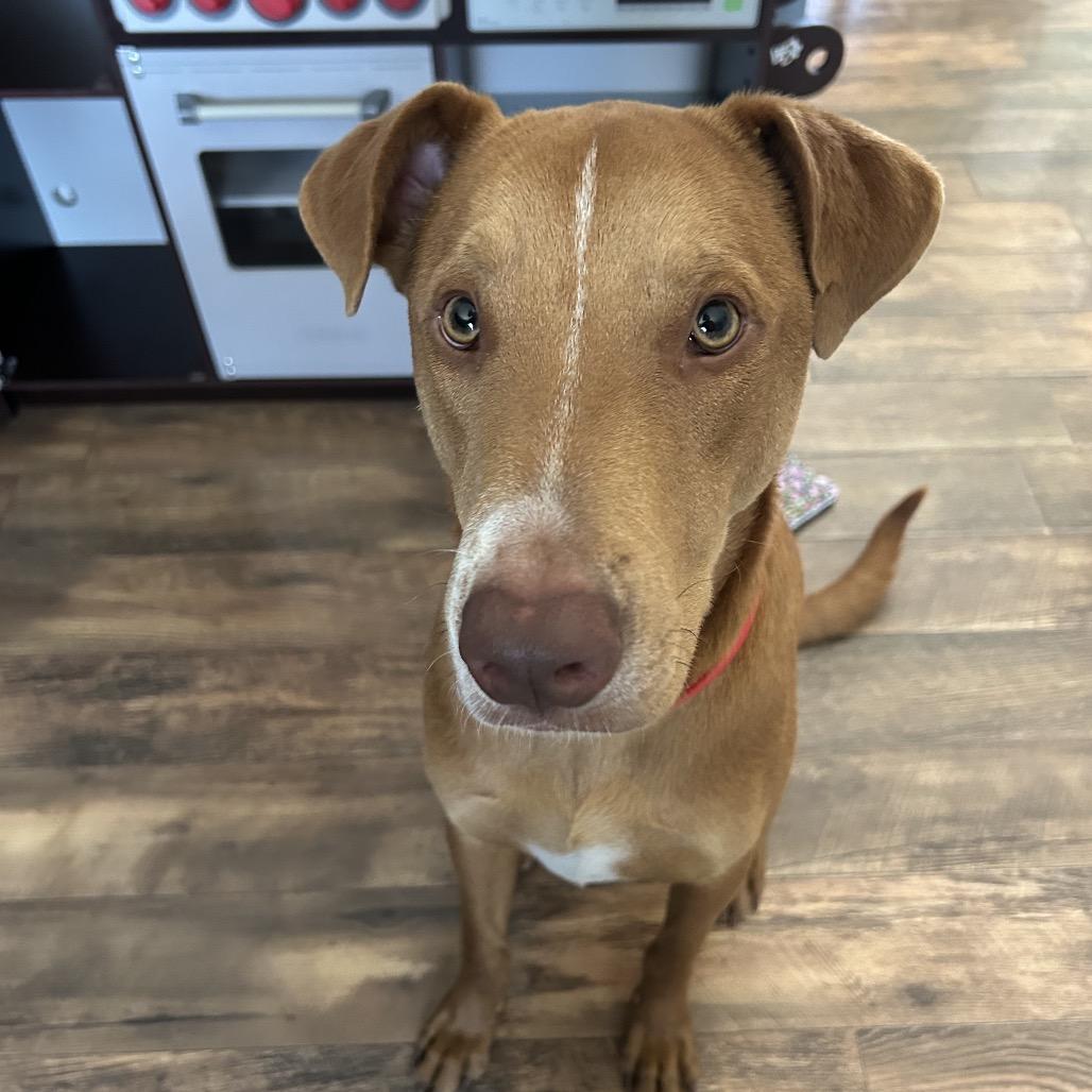 Sunny — thumbnail 2