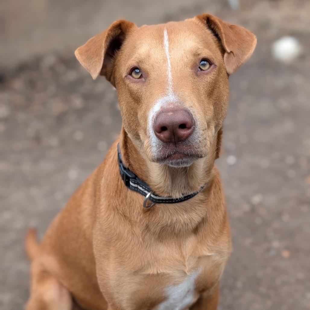 Sunny — thumbnail 3