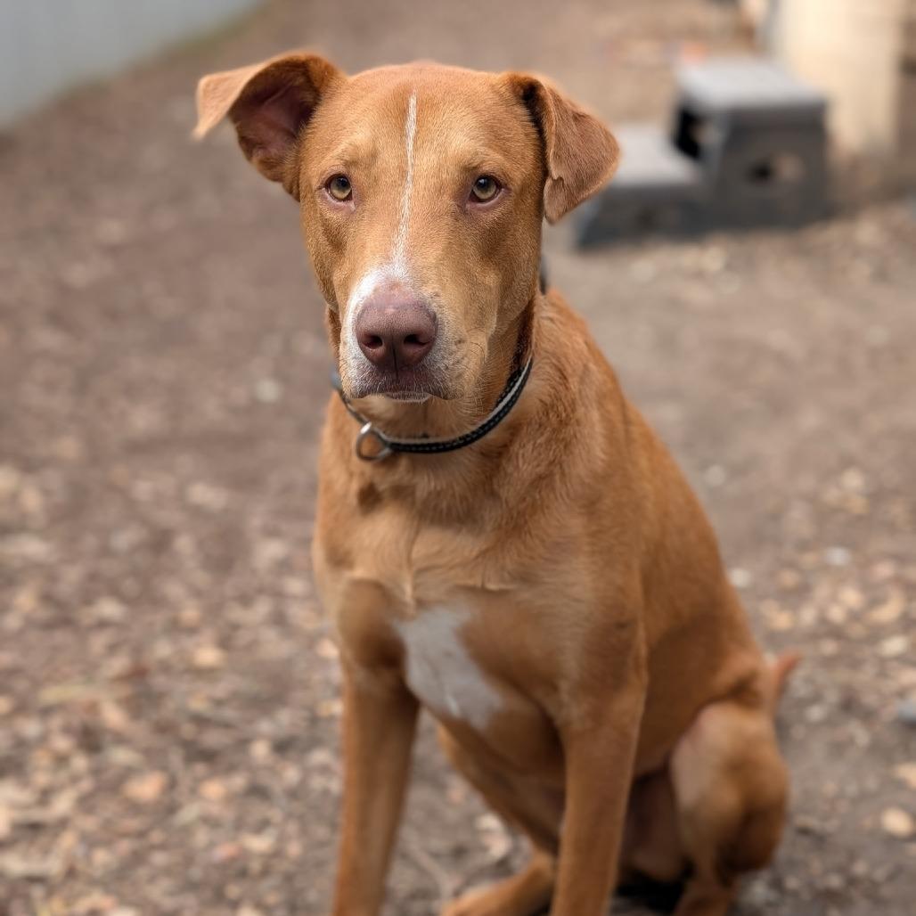 Sunny — thumbnail 4