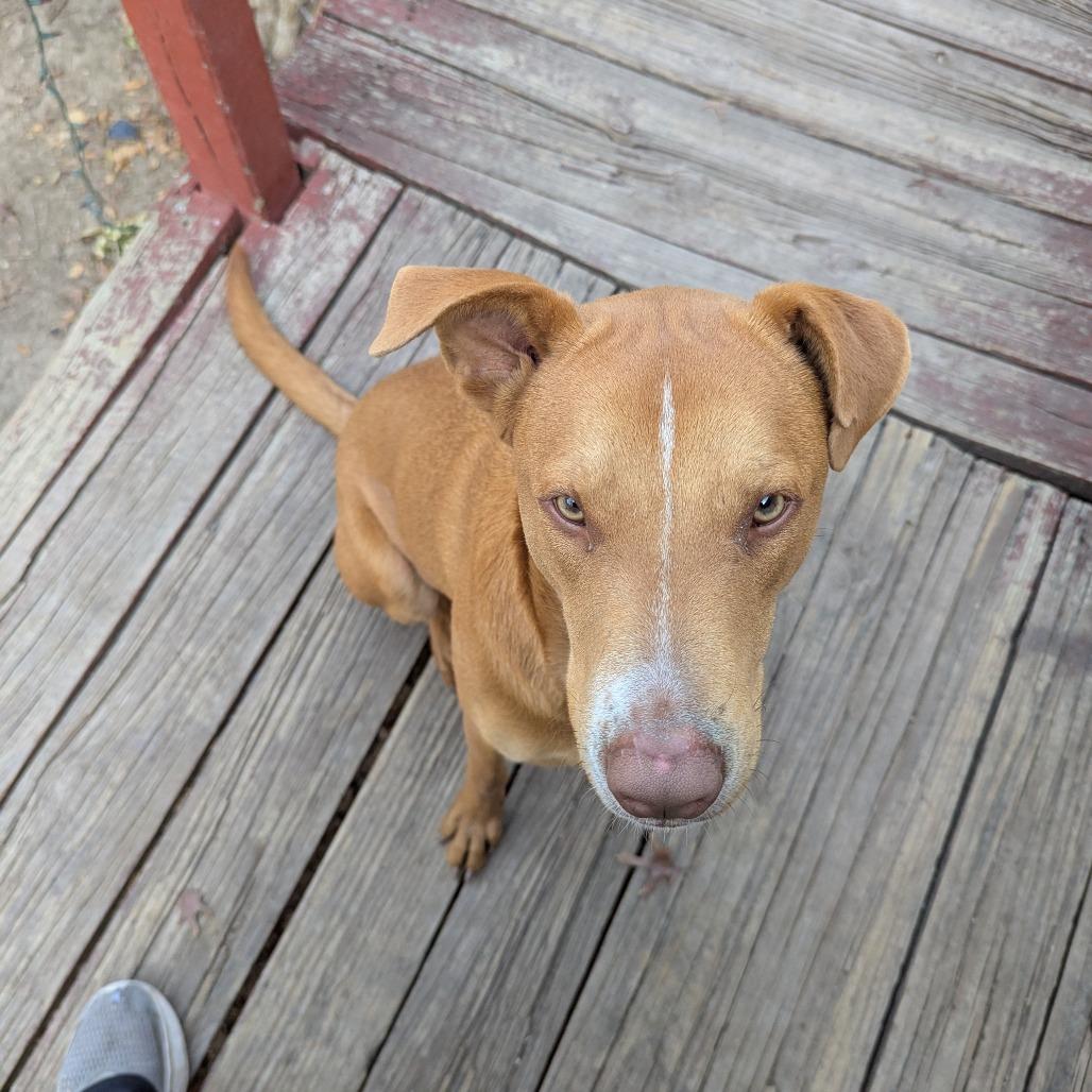 Sunny — thumbnail 5