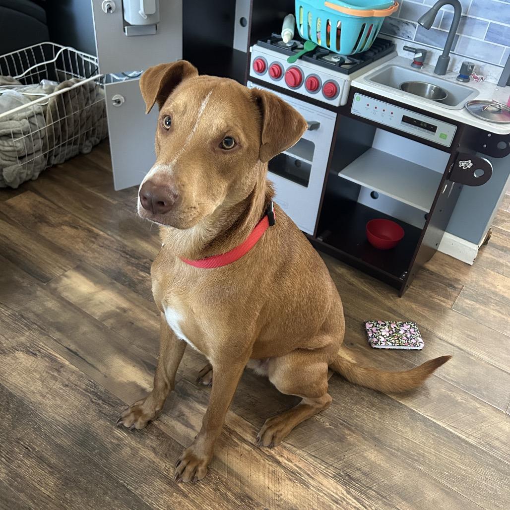 Sunny — thumbnail 6