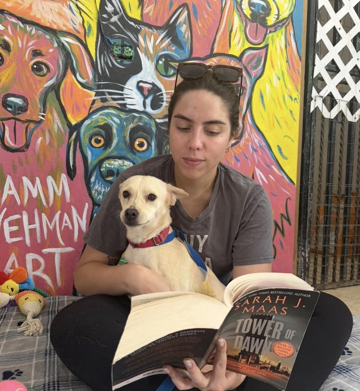 Enlarge Betsy, a ADOPTABLE mixed breed in New York, NY image 2/2