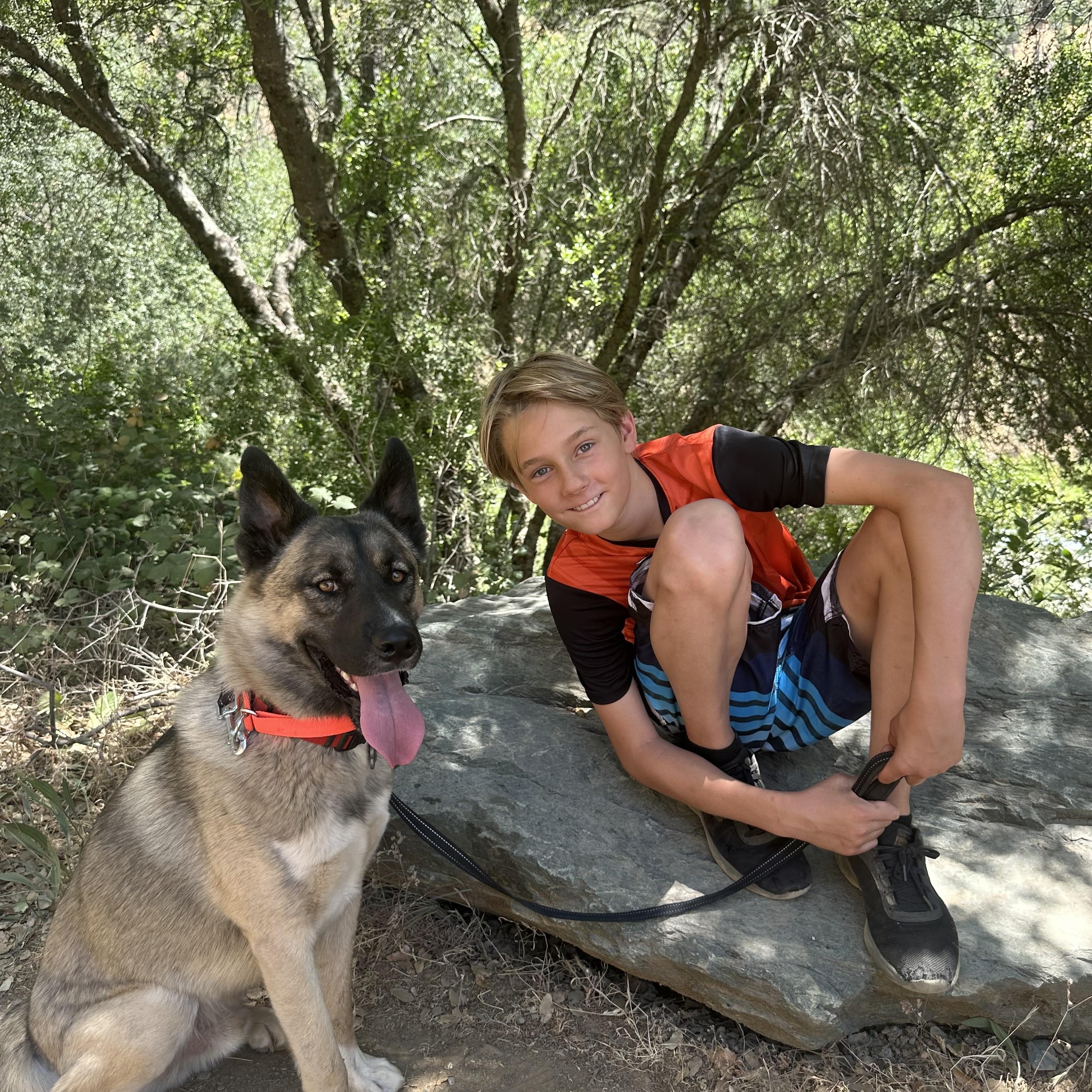 Arlo, a Adoptable mixed breed in Truckee, CA image 1/6