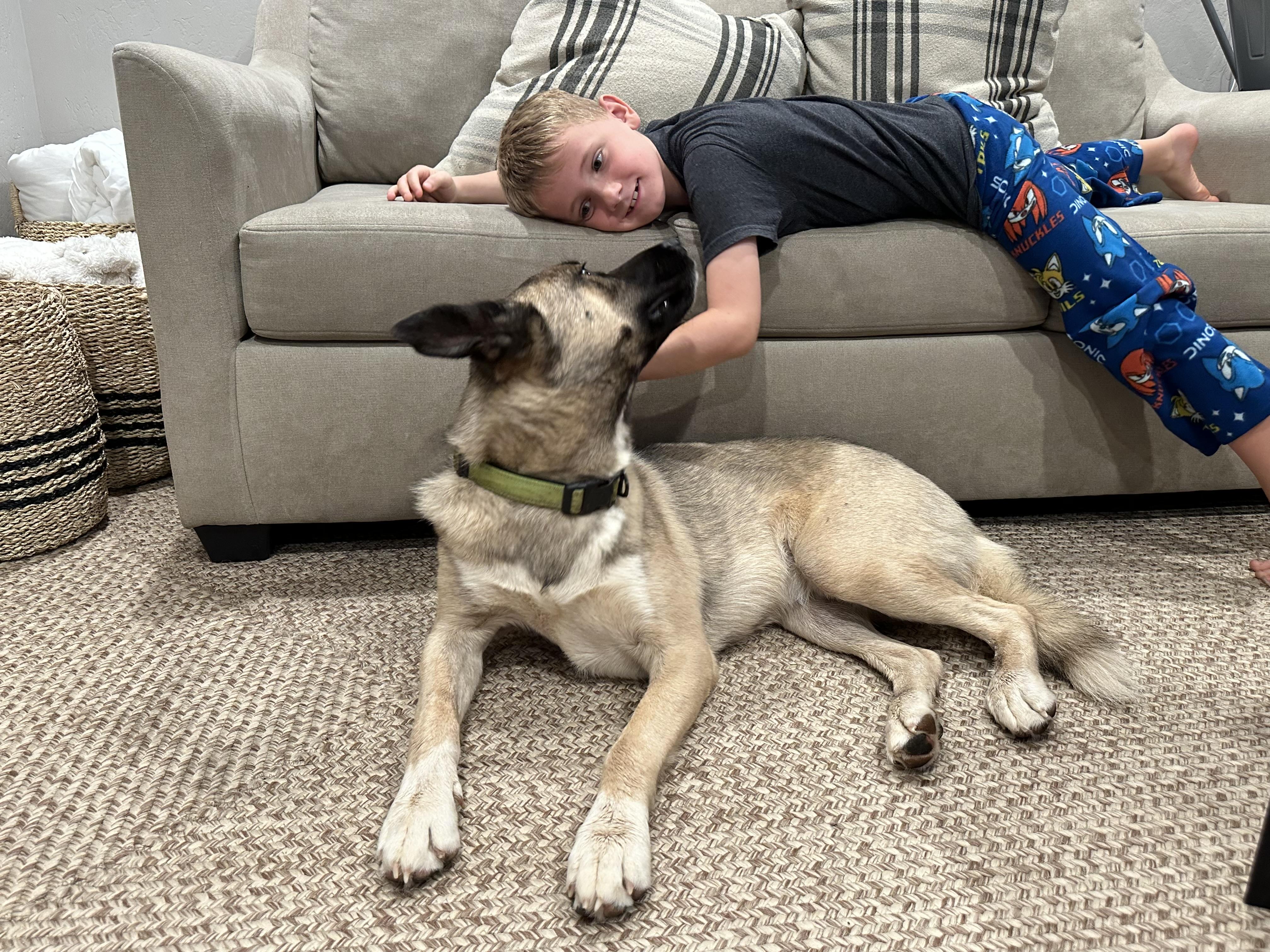 Arlo — thumbnail 4