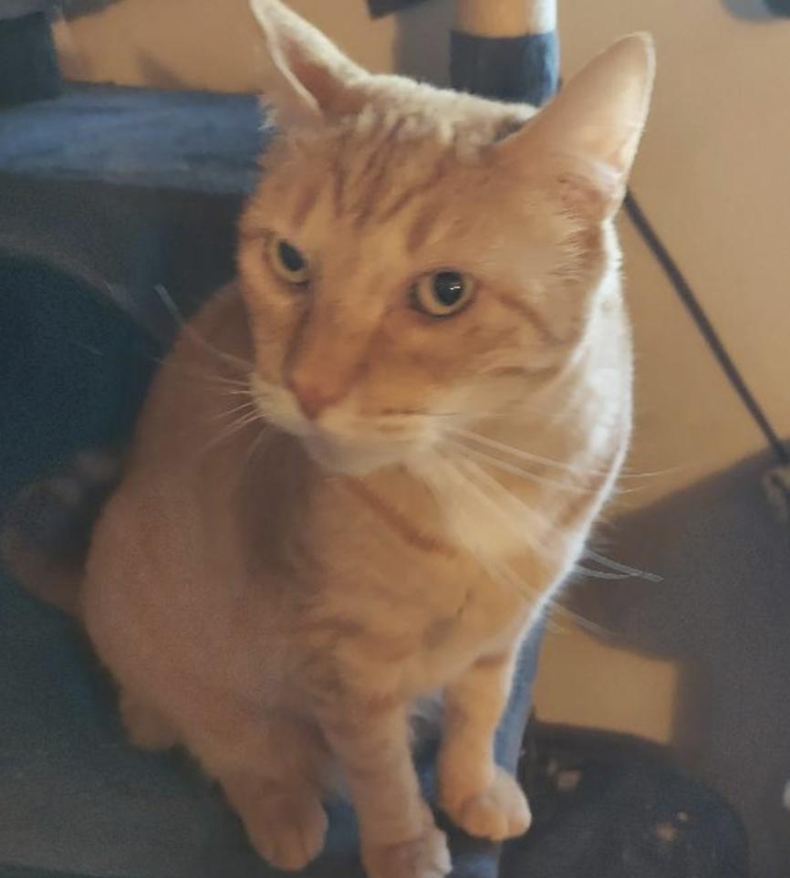 Rufus And Jackie thumbnail 4