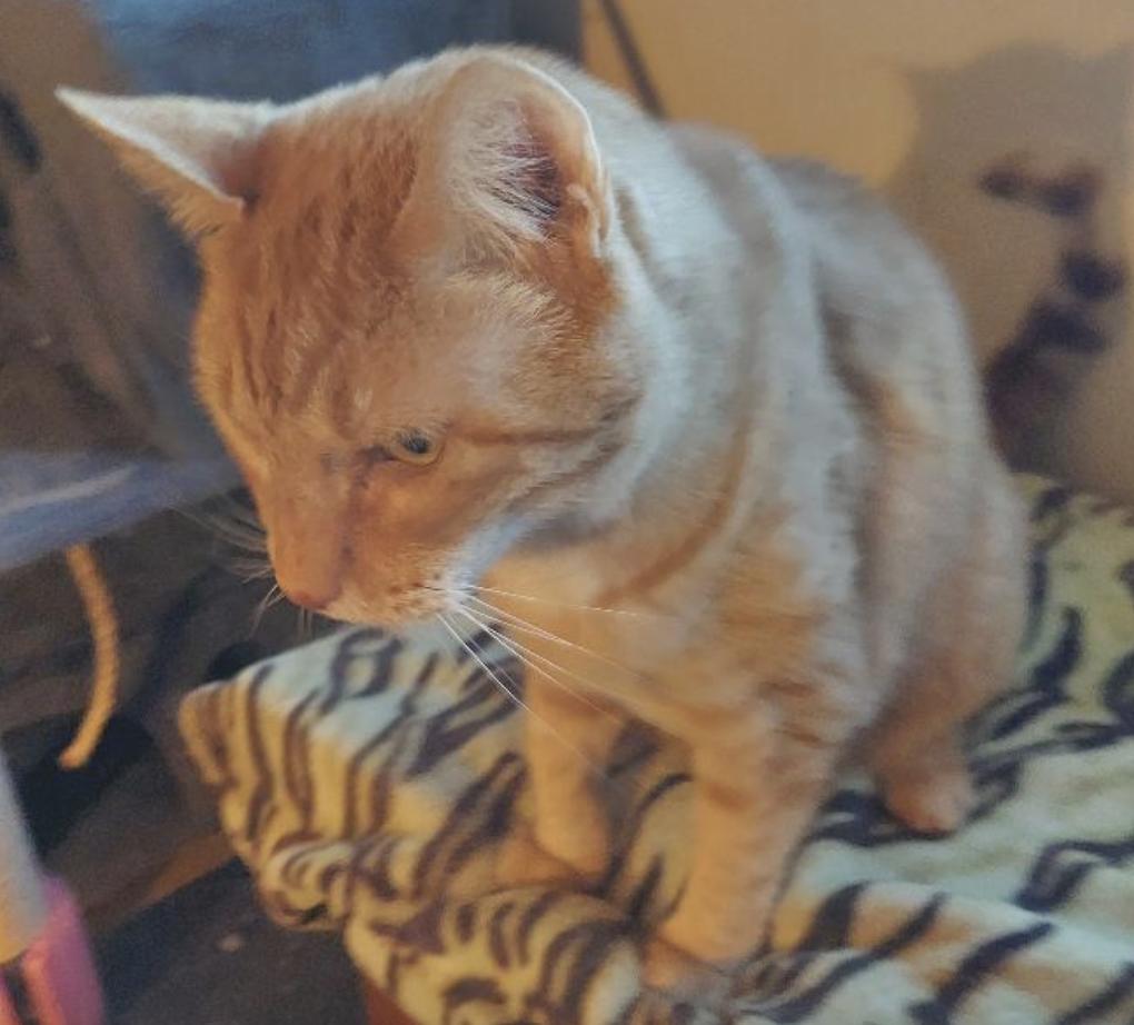 Rufus And Jackie thumbnail 5