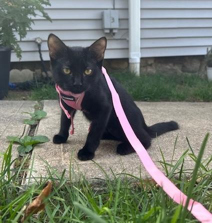 Freddie, Summer and Whitney