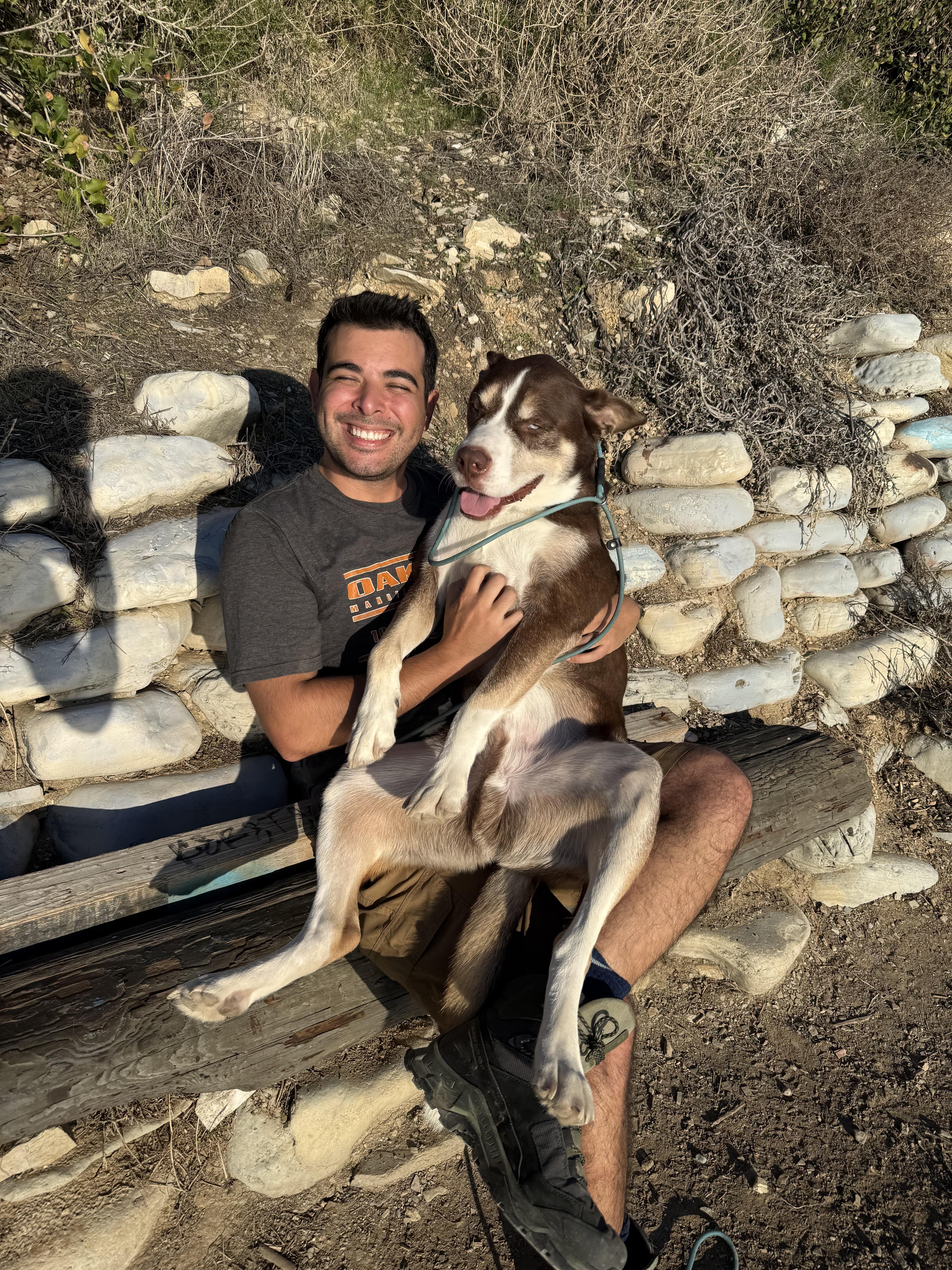 Enlarge Rio, a Adoptable Shepherd in Long Beach, CA image 1/6